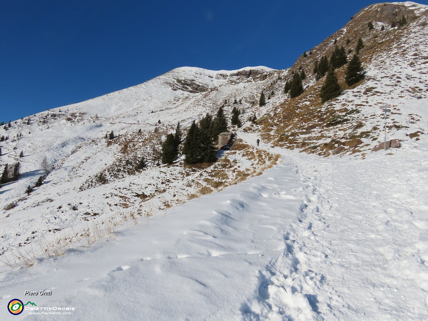 10 Agganciato il sent. 109A per sent. 101 e Monte Avaro.JPG